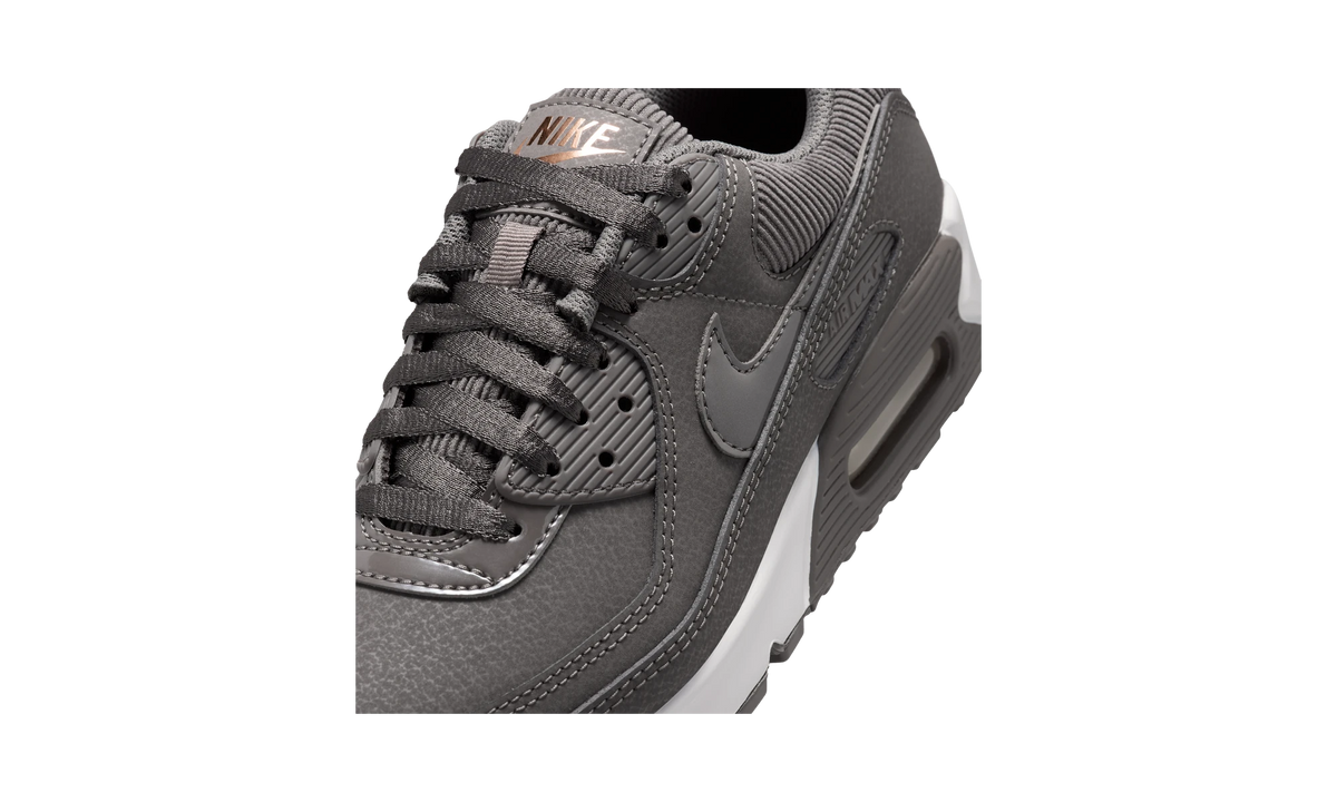 Nike Air Max 90 Cave Stone/Dark Beetroot/Summit White/Cave Stone