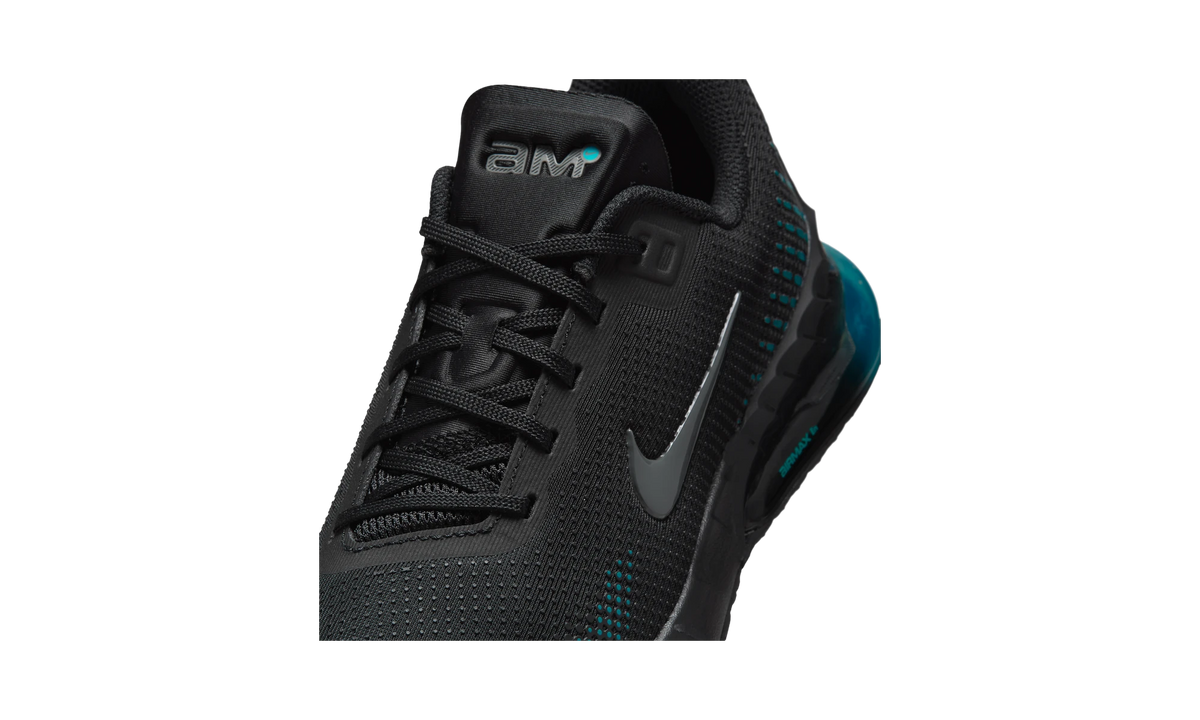 Nike Air Max Phoenix Black/Gamma Blue/Bright Spruce/Iron Grey