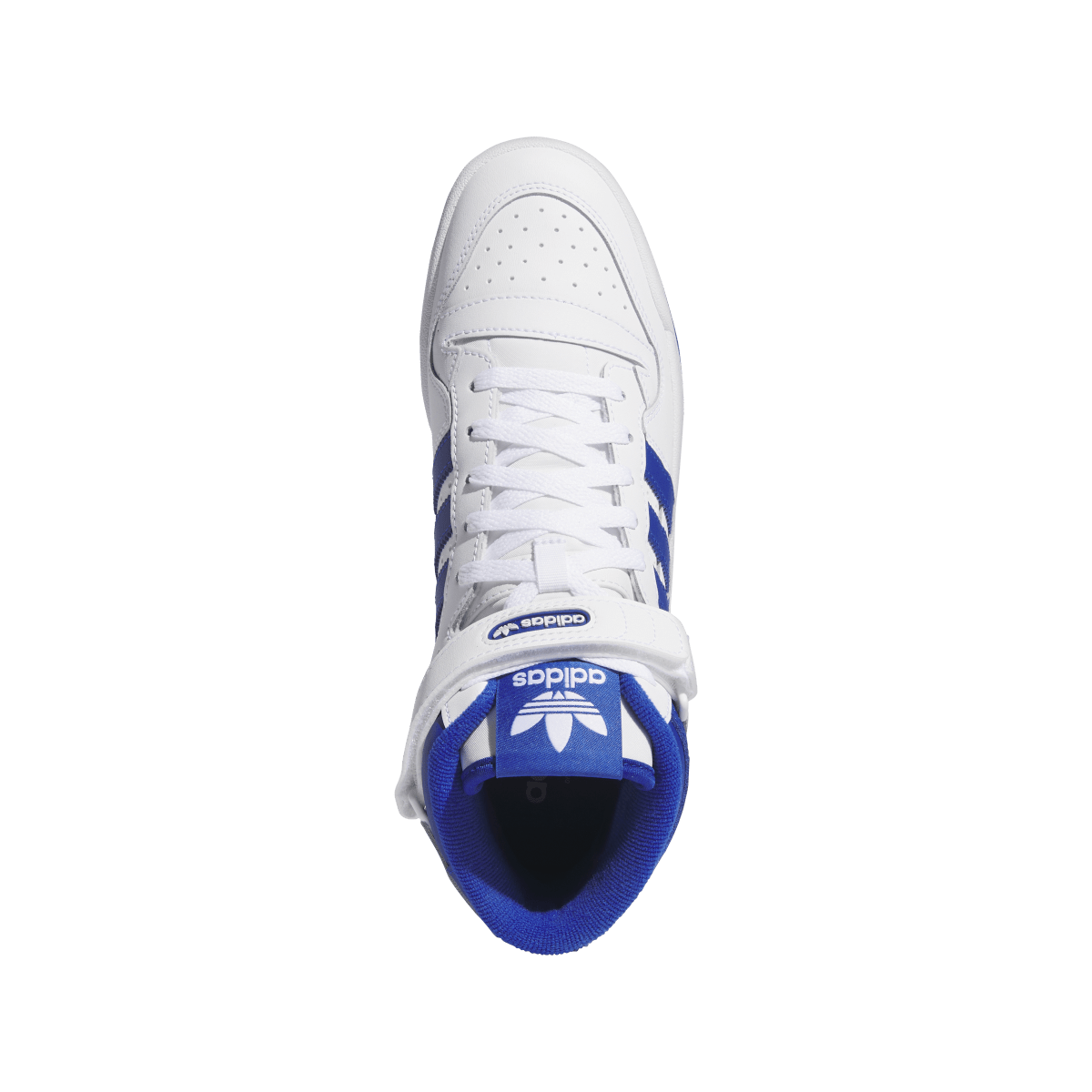 Adidas Forum Mid Cloud White Royal Blue