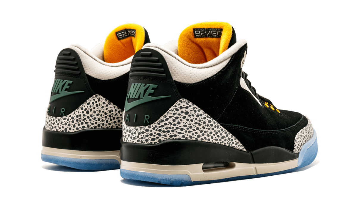 Air Jordan 3 Retro & Nike Air Max 1 atmos Pack