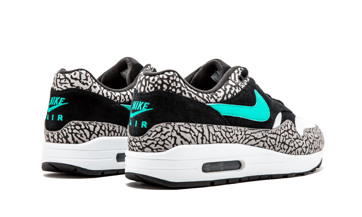 Air Jordan 3 Retro & Nike Air Max 1 atmos Pack