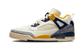 Air Jordan Spizike Low Michigan