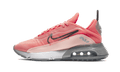 Nike Air Max 2090