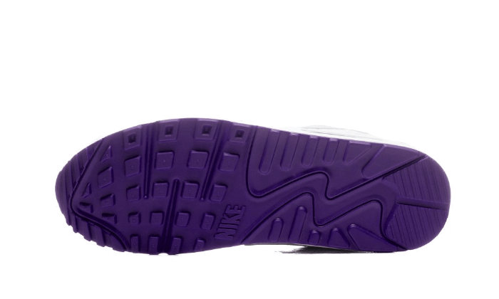 Nike Air Max 90 Color Pack Court Purple
