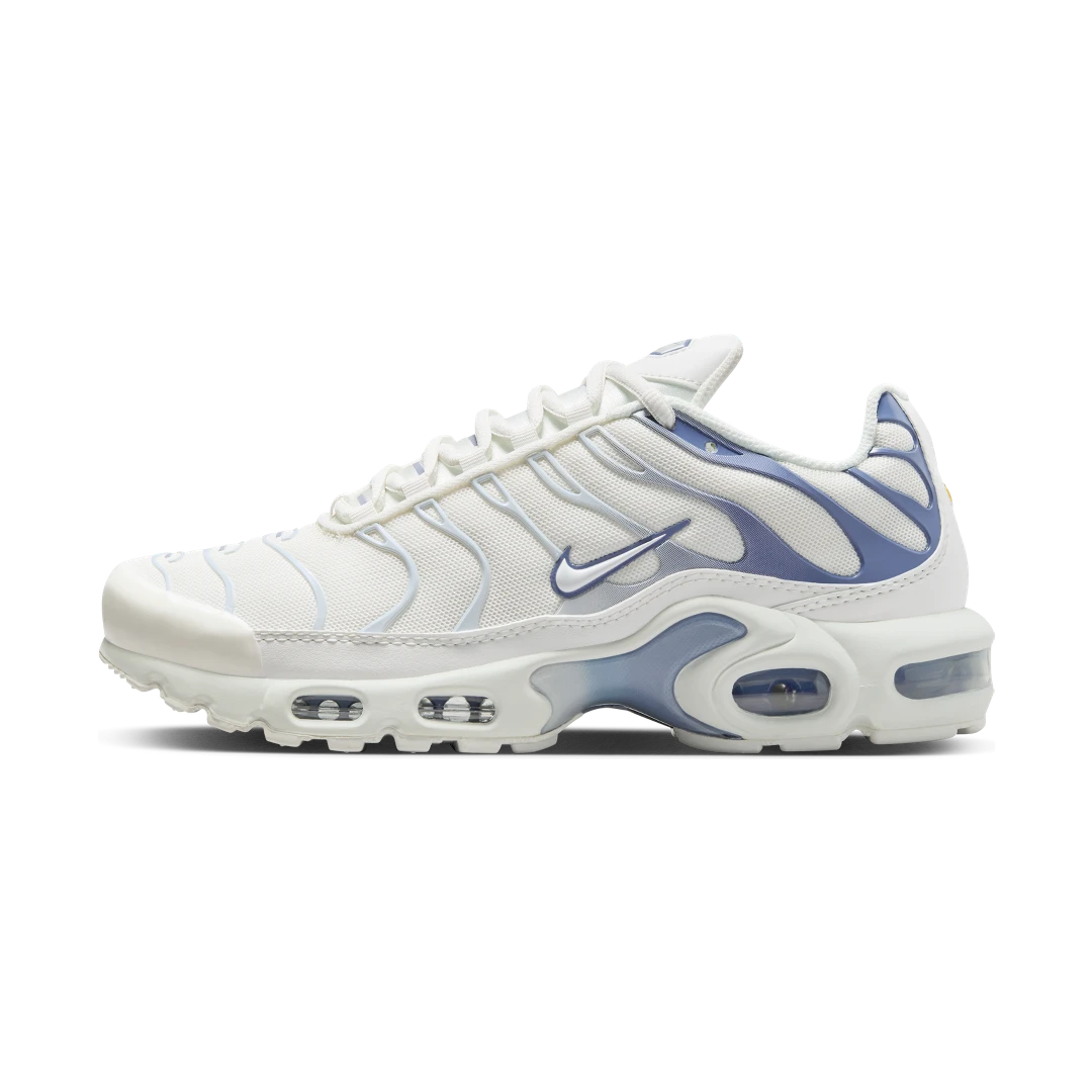 Nike Air Max Plus Ashen Slate, Summit White/Ashen Slate/Light Armory Blue (DZ3671-104)
