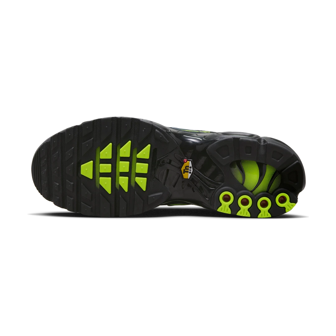 Nike Air Max Plus Black Volt, Black/Volt/Reflect Silver/Cool Grey (FQ2381-001)