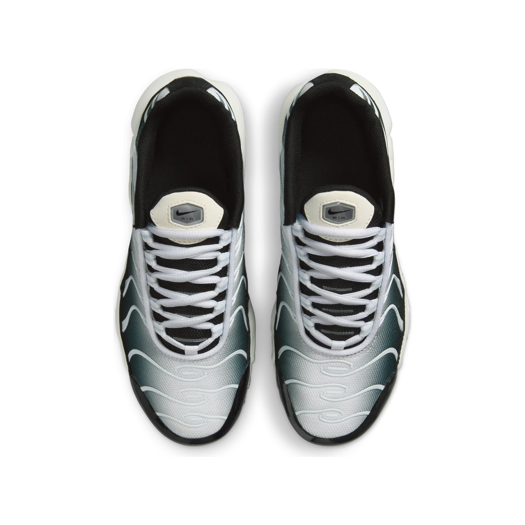Nike Air Max Plus Black White Sail Metallic Cool Grey, Black/White/Sail/Metallic Cool Grey (CD0609-026)