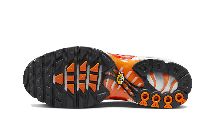Nike Air Max Plus Light Photography, Sport Red/Mandarin/Solar Flare/Black (DZ3531-600)