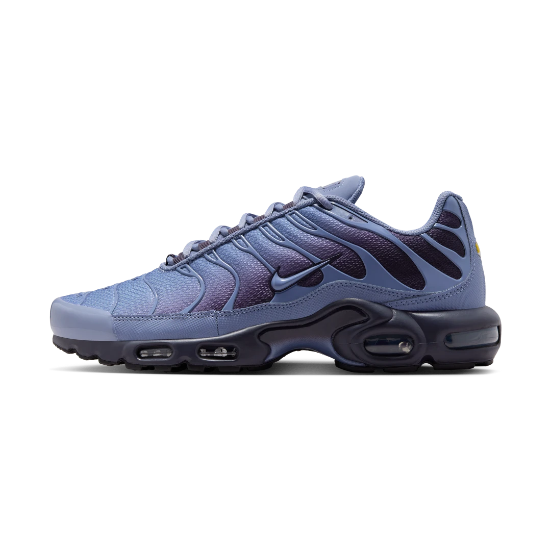 Nike Air Max Plus World Indigo, World Indigo/Cave Purple/Black/World Indigo (DM0032-404)