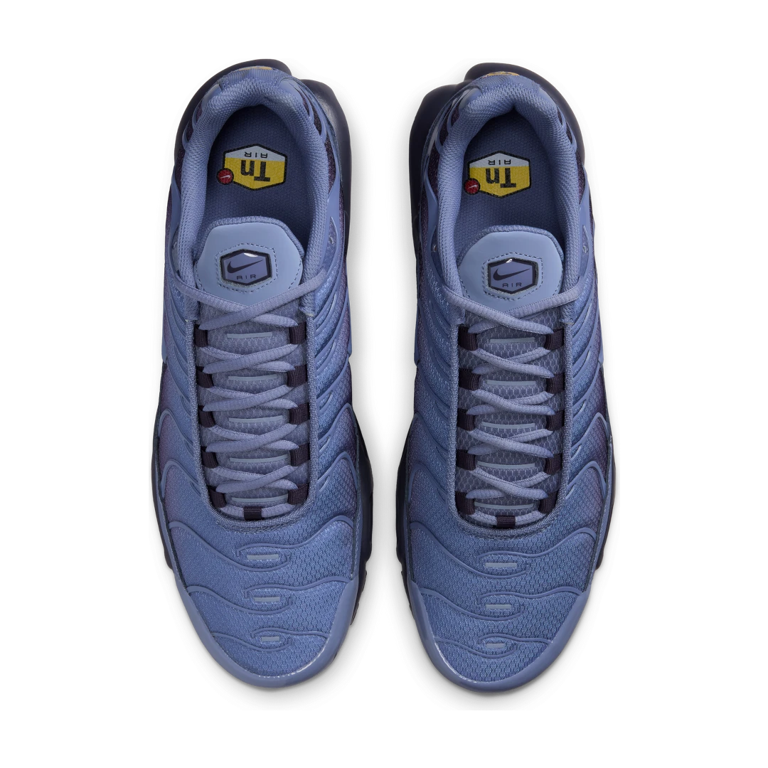 Nike Air Max Plus World Indigo, World Indigo/Cave Purple/Black/World Indigo (DM0032-404)