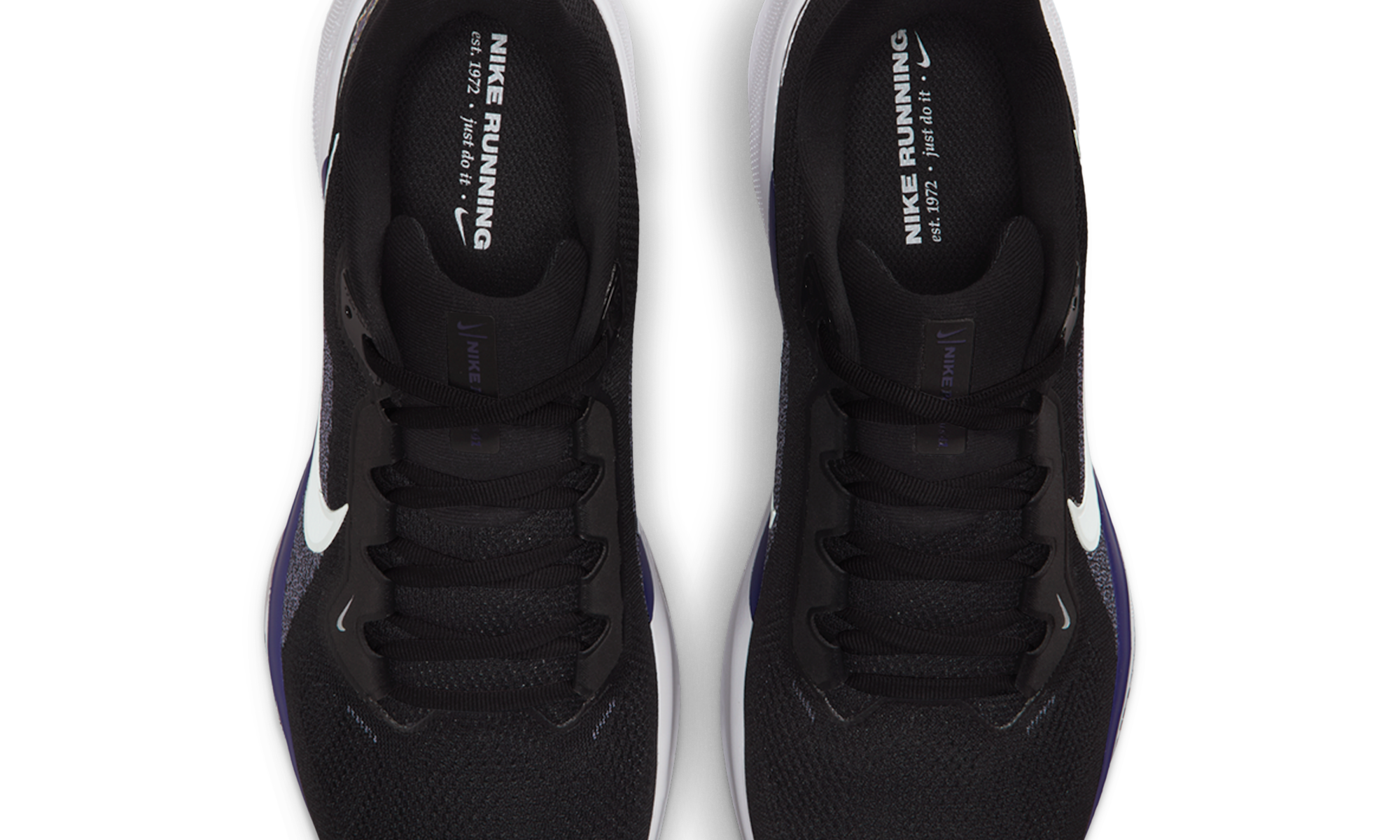 Nike Air Zoom Pegasus 41 Baltimore Ravens (2025)