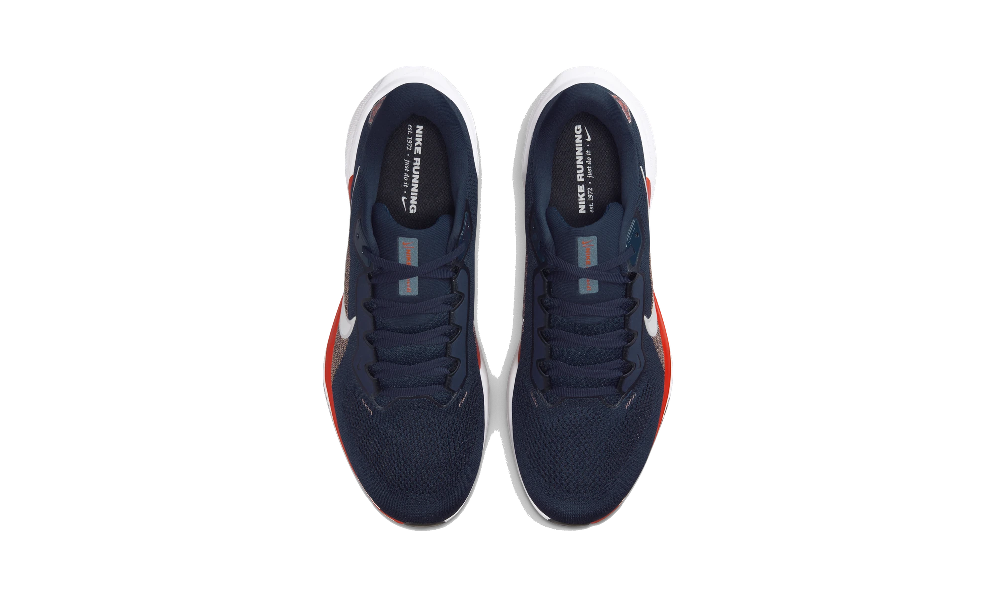 Nike Air Zoom Pegasus 41 Chicago Bears (2025)