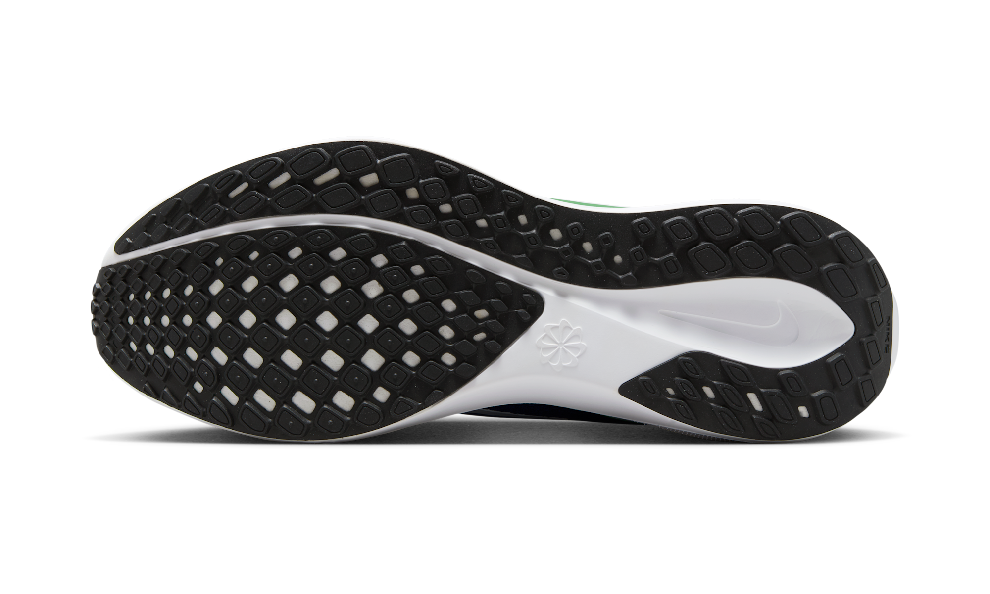 Nike Air Zoom Pegasus 41 Seattle Seahawks (2025)