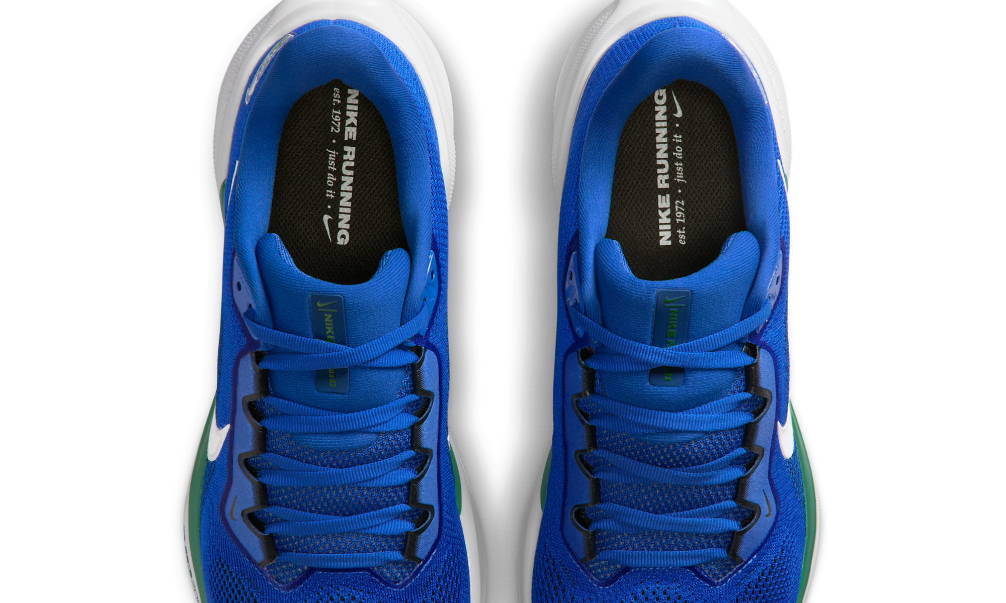Nike Air Zoom Pegasus 41 Seattle Seahawks (2025)