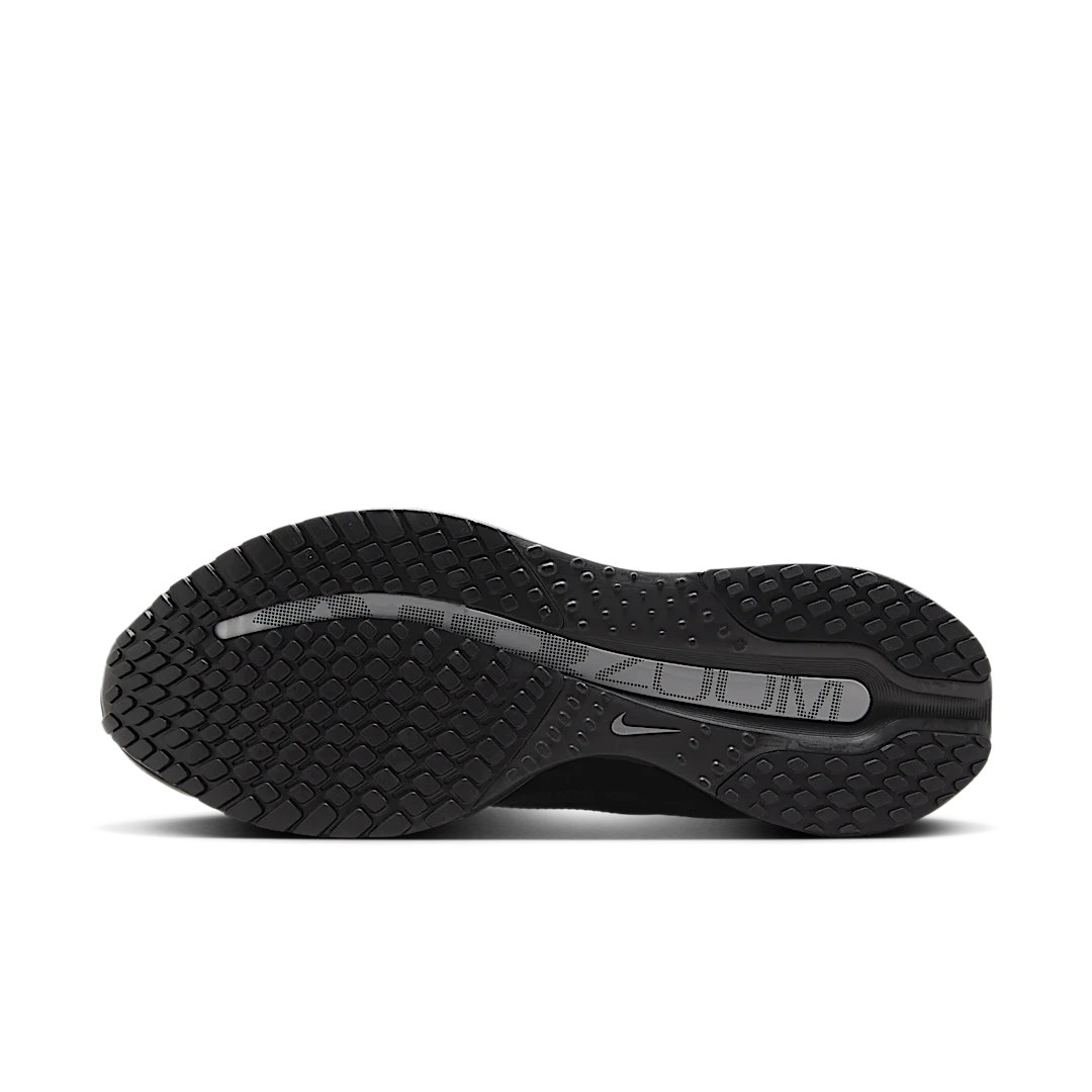 Nike Air Zoom Pegasus Premium Black Metallic Silver, Black/Black/Metallic Silver (HQ2592-005)