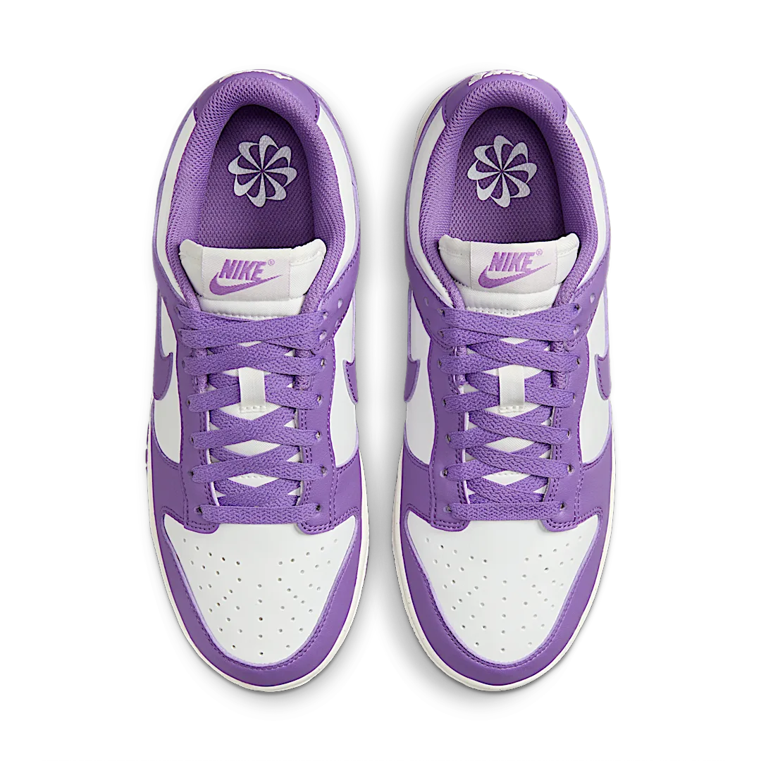 Nike Dunk Low Next Nature Black Raspberry, Summit White/Black Raspberry/Sail/Black (DD1873-108)