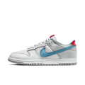 Nike Dunk Low Silver Surfer (2024)