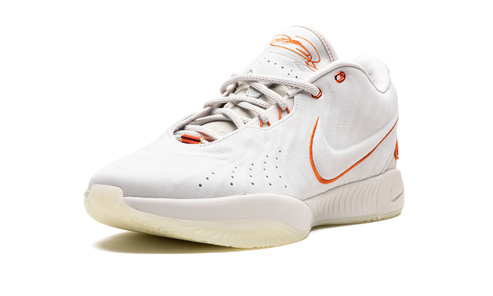 Nike LeBron 21 Akoya
