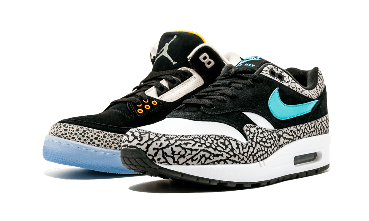 Air Jordan 3 Retro & Nike Air Max 1 atmos Pack