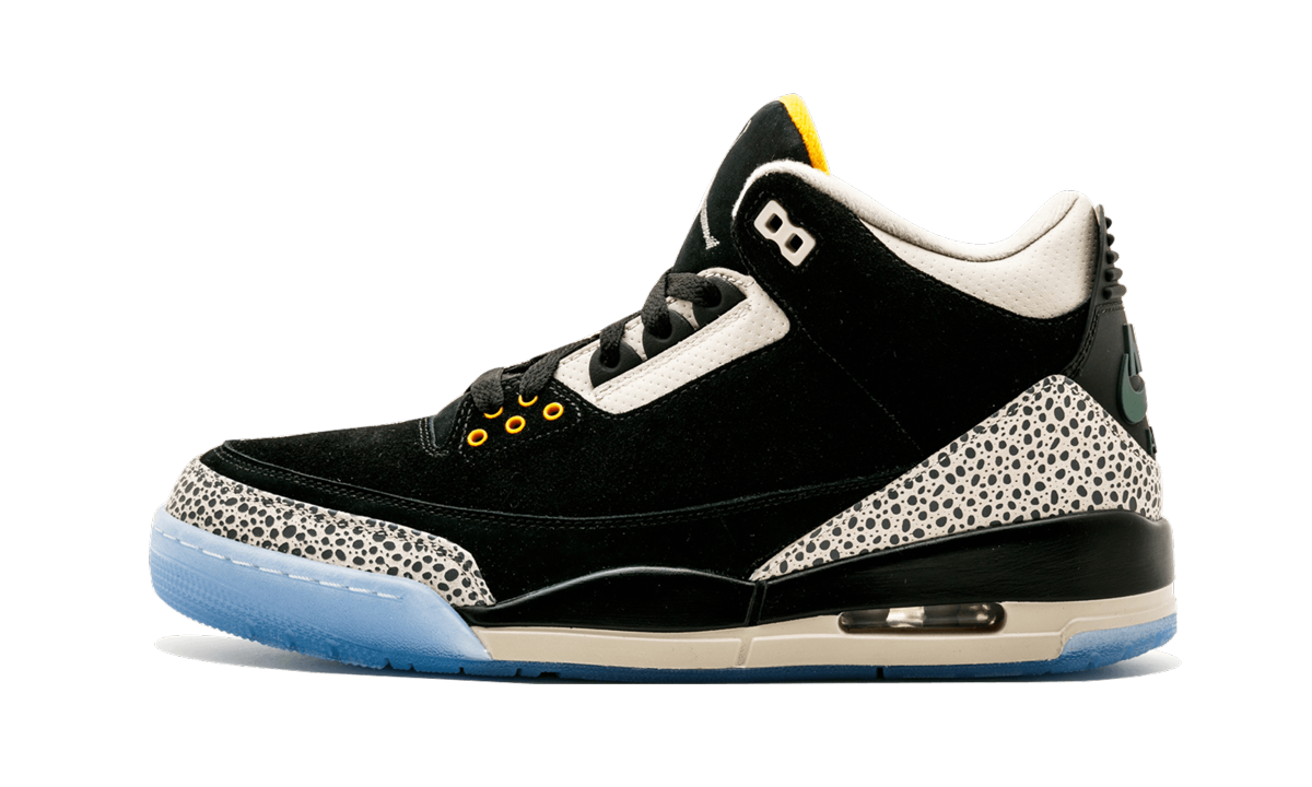 Air Jordan 3 Retro & Nike Air Max 1 atmos Pack