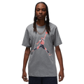 Air Jordan Brand Tee Carbon Heather
