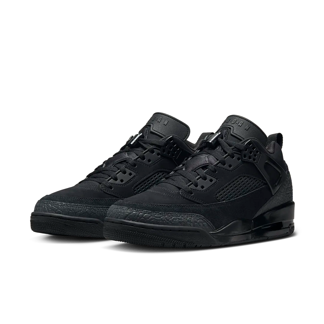 Air Jordan Spizike Low Black Cat