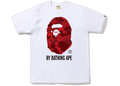 BAPE A Bathing Ape Color Camo T-Shirt Black Red