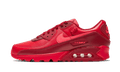 Nike Air Max 90 City Special Chicago