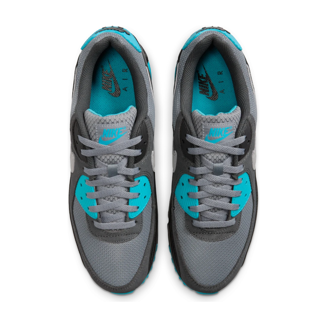 Nike Air Max 90 Cool Grey Dusty Cactus Black Wolf Grey, Cool Grey/Dusty Cactus/Black/Wolf Grey (DM0029-013)