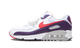 Nike Air Max 90 Eggplant