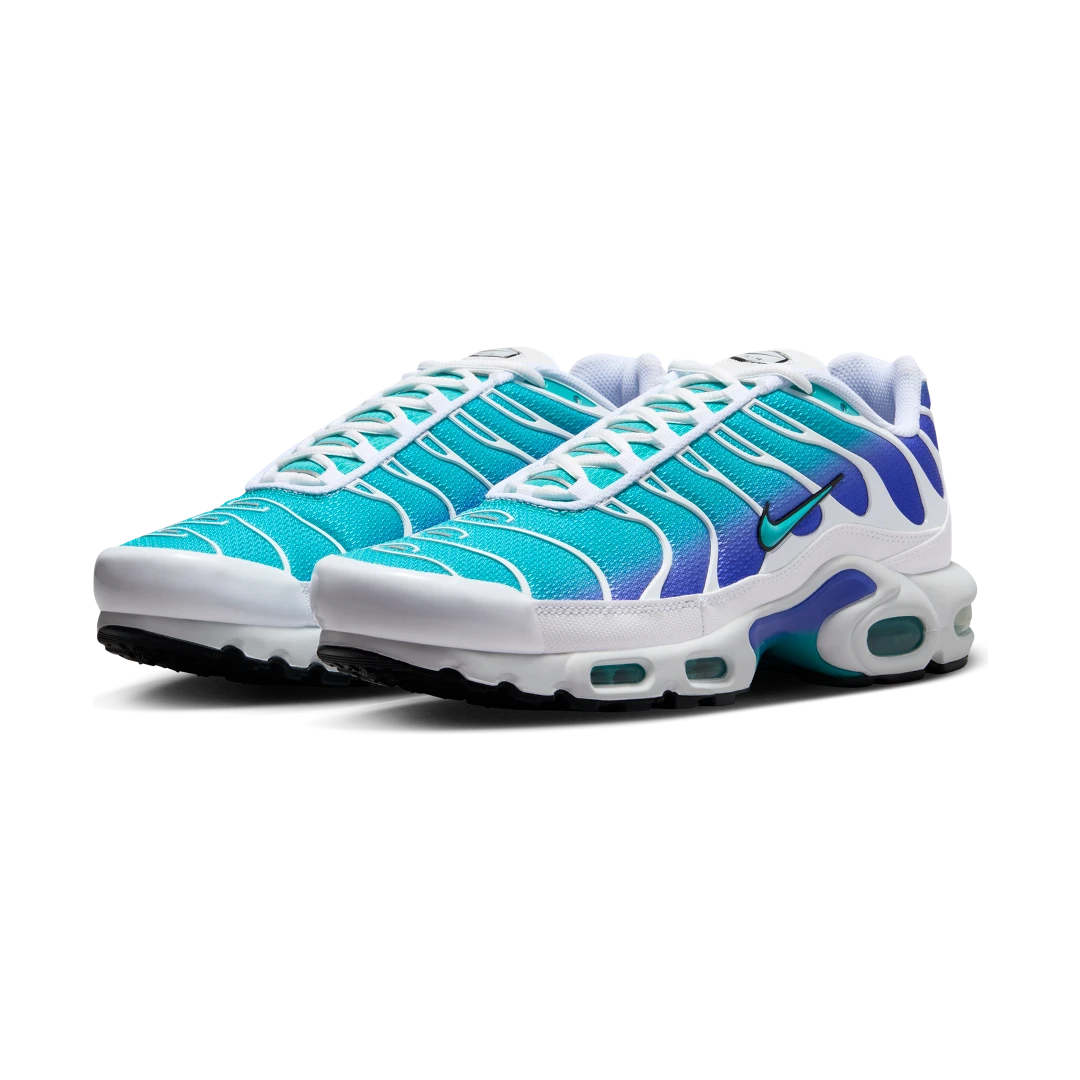Nike Air Max Plus Aqua, White/Persian Violet/Black/Dusty Cactus (DM0032-102)