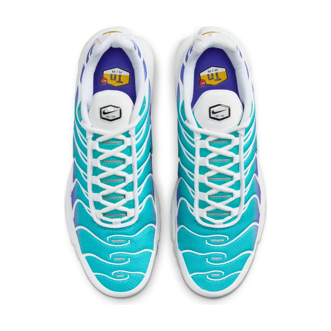 Nike Air Max Plus Aqua, White/Persian Violet/Black/Dusty Cactus (DM0032-102)