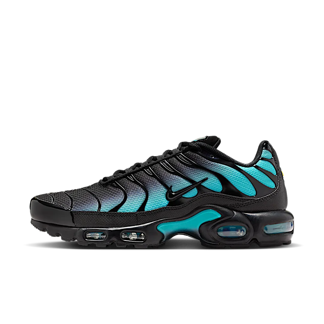 Nike Air Max Plus Black Dusty Cactus, Black/Dusty Cactus/Black (DM0032-016)