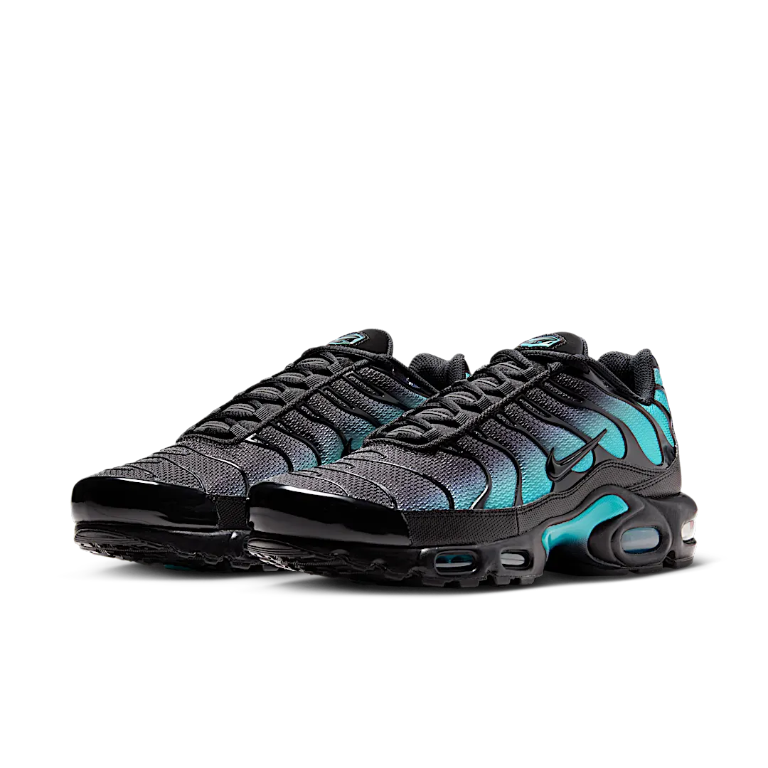 Nike Air Max Plus Black Dusty Cactus, Black/Dusty Cactus/Black (DM0032-016)