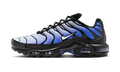 Nike Air Max Plus Black Sapphire White