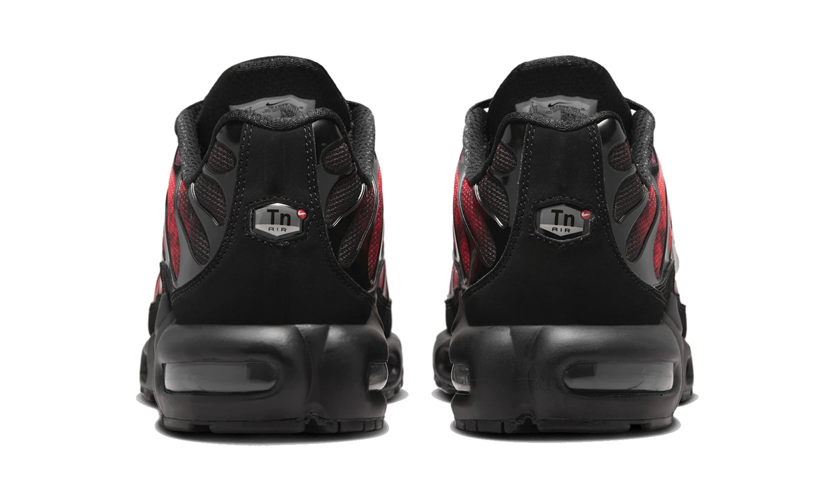 Nike Air Max Plus Flairemax