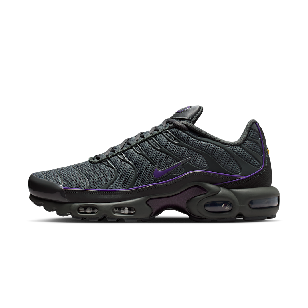 Nike Air Max Plus OG Iron Grey Wild Grape, Iron Grey/Iron Grey/Wild Grape (HV8066-001)