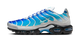 Nike Air Max Plus One Block Down Light Photo Blue