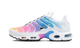 Nike Air Max Plus Summer Gradient