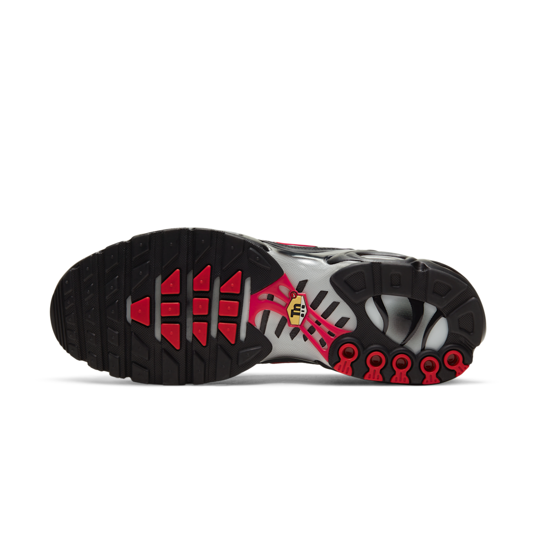 Nike Air Max Plus Topography Pack, Black/Dark Grey/Burgundy (DJ0638-001)
