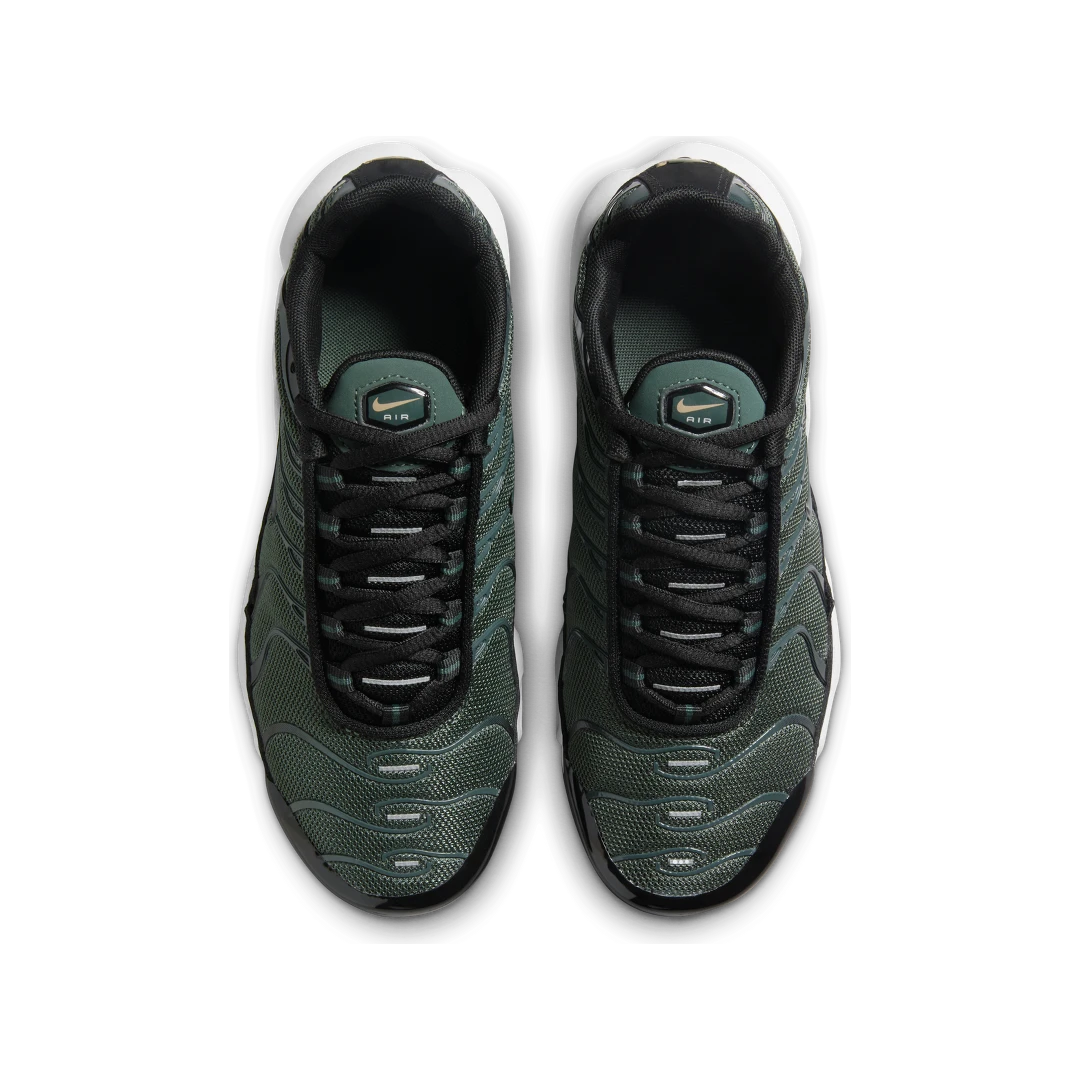 Nike Air Max Plus Vintage Green Black Hemp, Vintage Green/Black/Hemp/Vintage Green (CD0609-302)