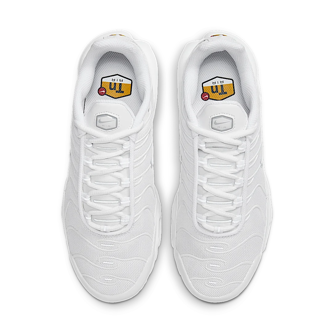 Nike Air Max Plus All White, White/White (605112-110/DM2362-100)