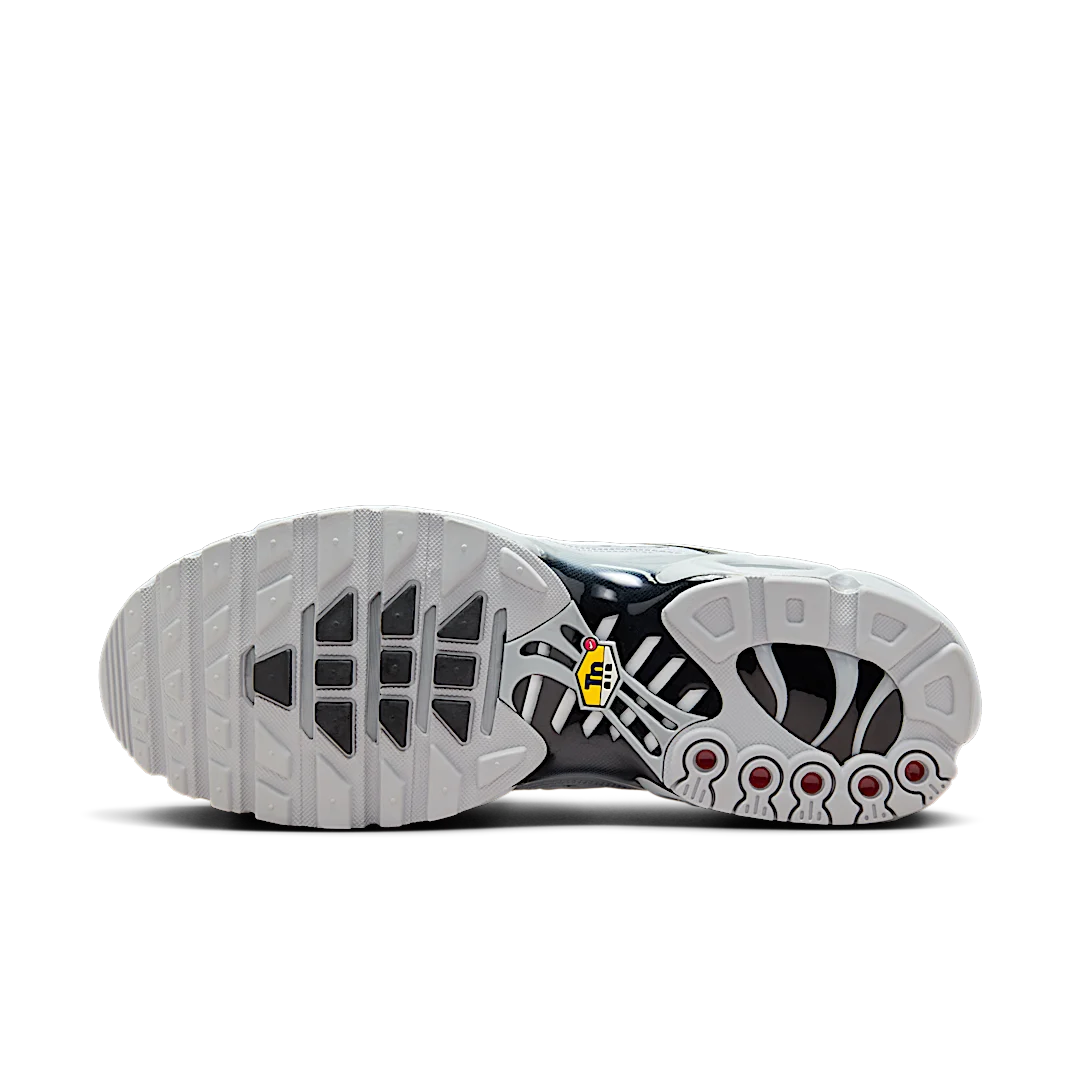 Nike Air Max Plus Wolf Grey, Wolf Grey/Black-White (852630-021)