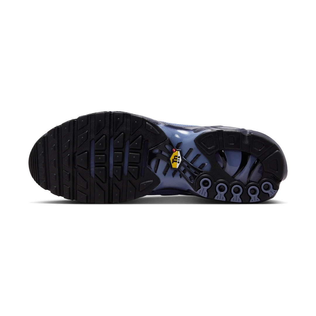 Nike Air Max Plus World Indigo, World Indigo/Cave Purple/Black/World Indigo (DM0032-404)