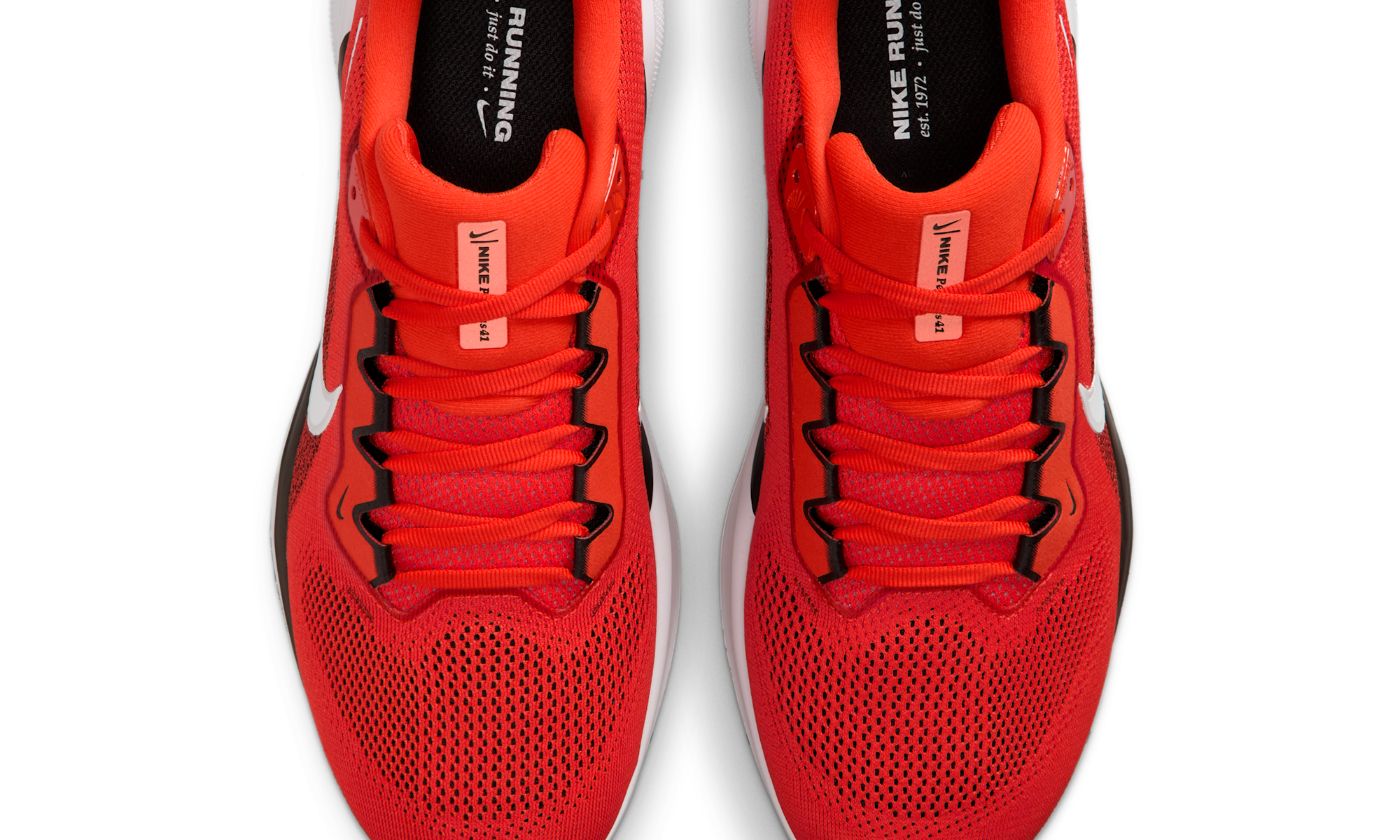 Nike Air Zoom Pegasus 41 Cleveland Browns (2025)