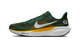 Nike Air Zoom Pegasus 41 Green Bay Packers (2025)