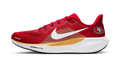 Nike Air Zoom Pegasus 41 San Francisco 49ers (2025)