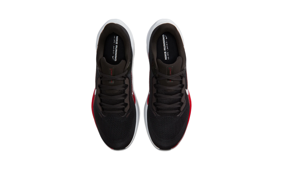 Nike Air Zoom Pegasus 41 Tampa Bay Buccaneers (2025)