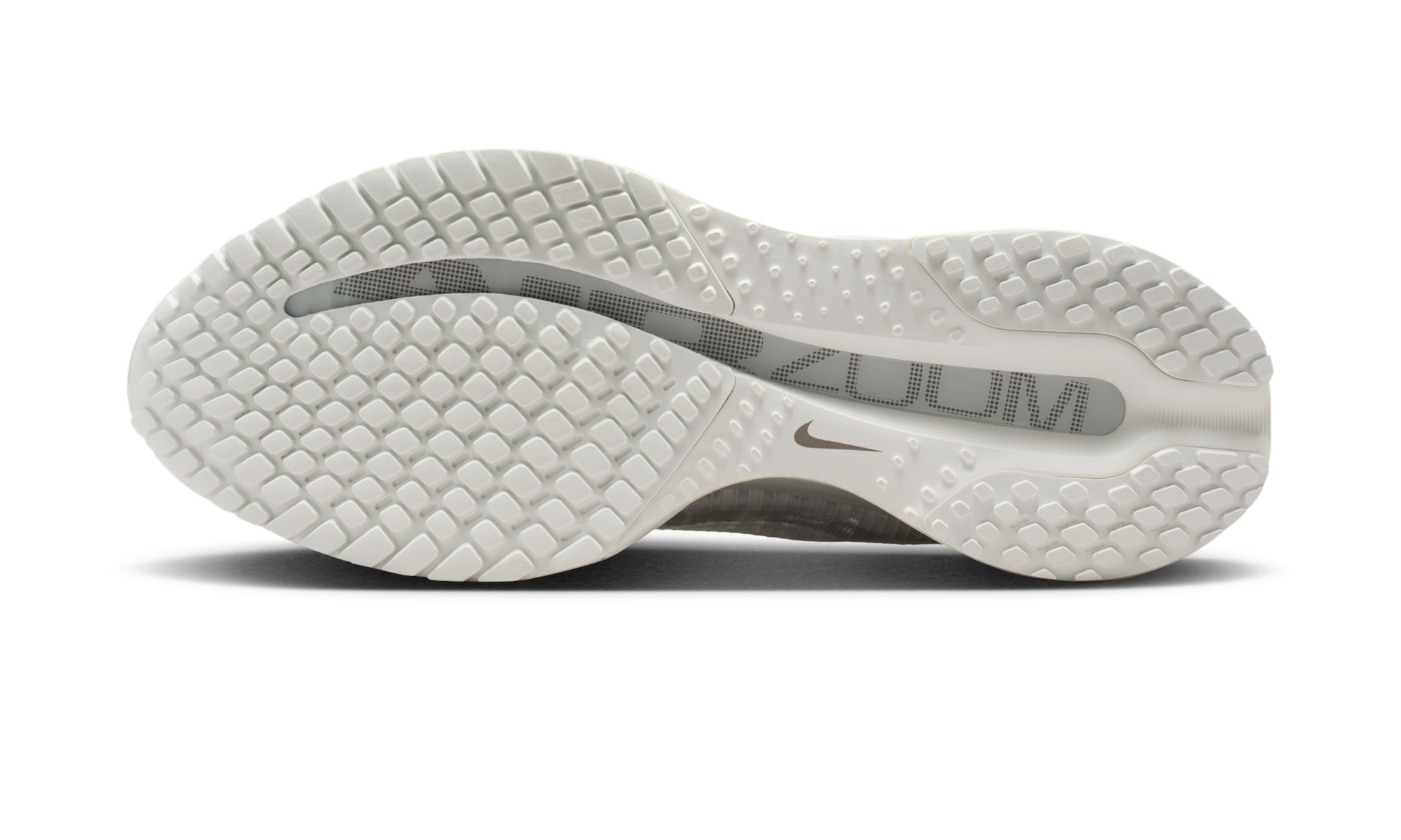 Nike Air Zoom Pegasus Premium Summit White Iridescent