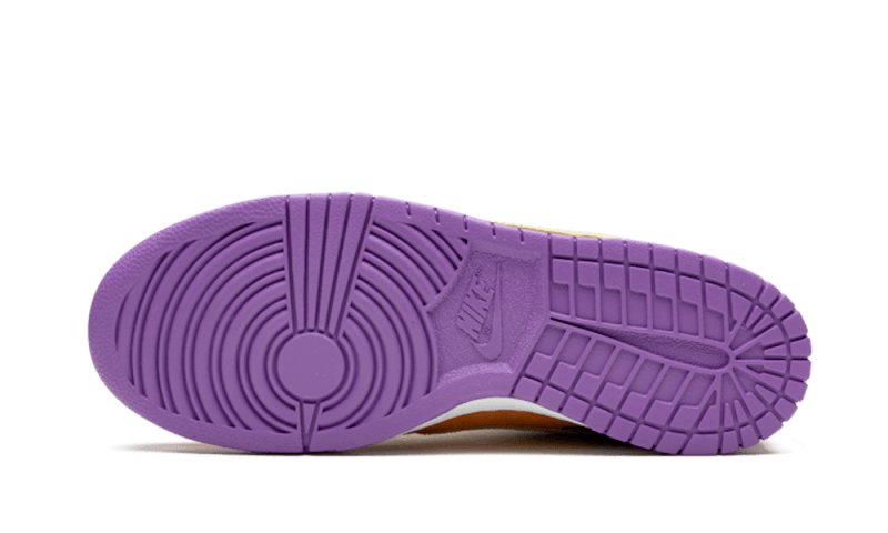 Nike Dunk Low SP Viotech (Overkill Special Box) (2019), Viotech/Viotech (CT5050-500)